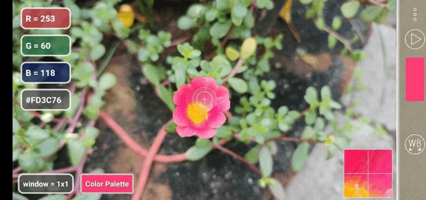 Capture and Identify Colors with ColorMeter